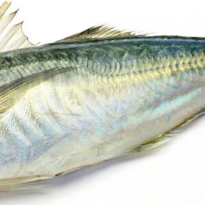 CHINCHARD 25+ (Akpala)