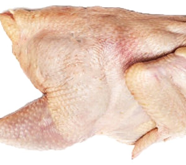 Demi poulet 515g