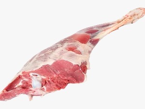 Cuisse de Chevre