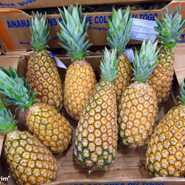 Ananas Pain de sucre