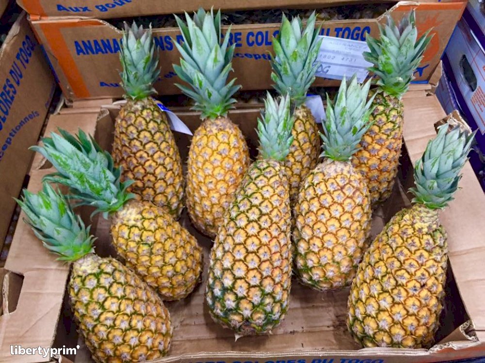 Ananas Pain de sucre